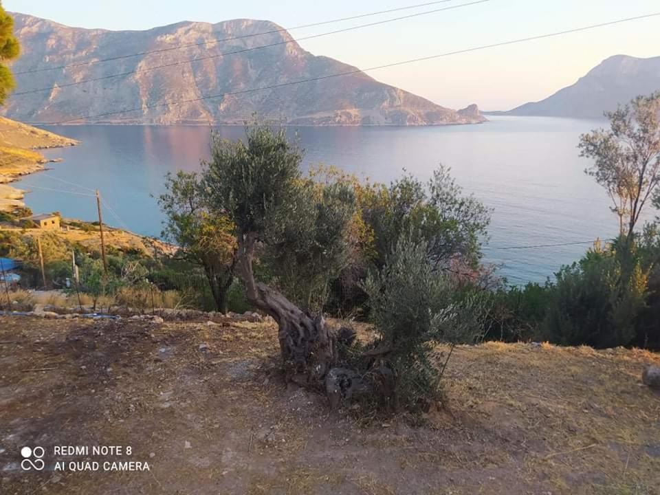 The Traditional House-Skalia,Kalymnos Exteriér fotografie